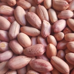 Peanuts