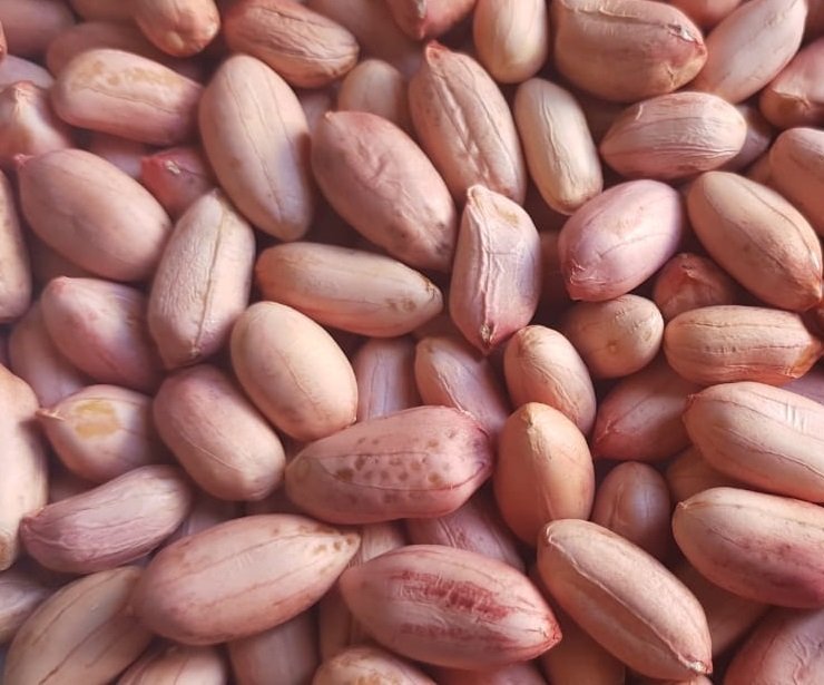 Peanuts