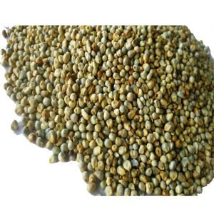 Millet
