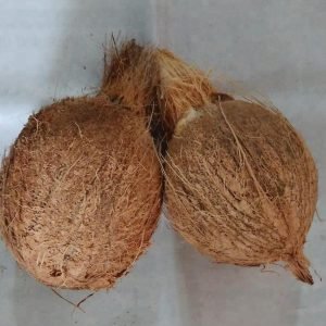 Coconut
