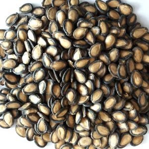 Watermelon seeds