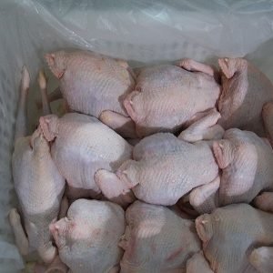 Frozen Chicken Parts