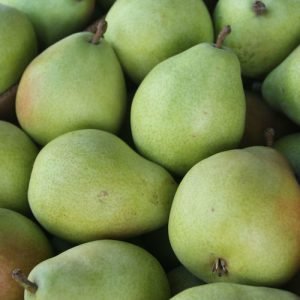 Pears