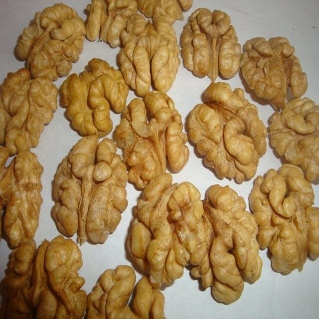 Walnut