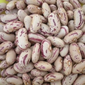 Sugar Beans