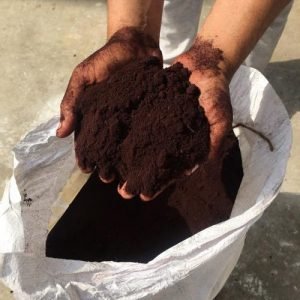 Blood Meal