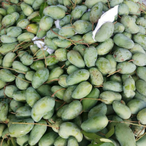 Mangos