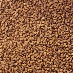 Buckwheat