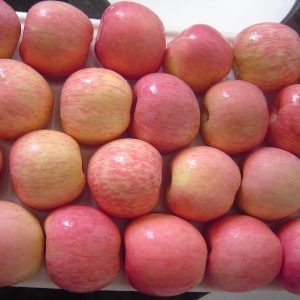 Apples