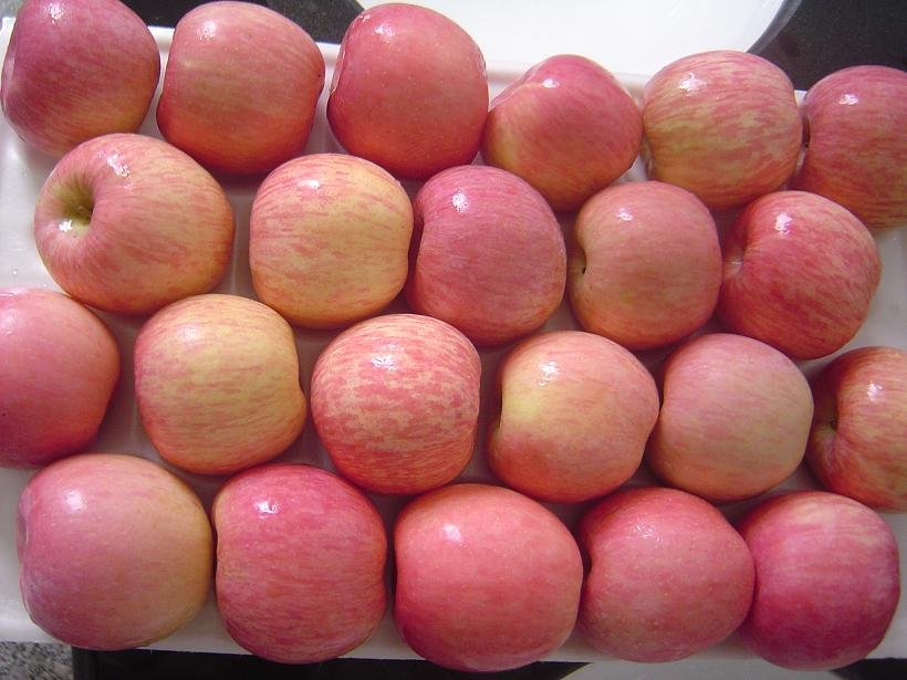 Apples